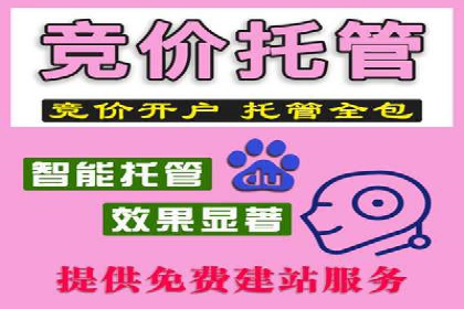 案例研究：SEM推广如何提升品牌知名度